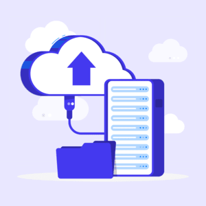 website's ip address checker 